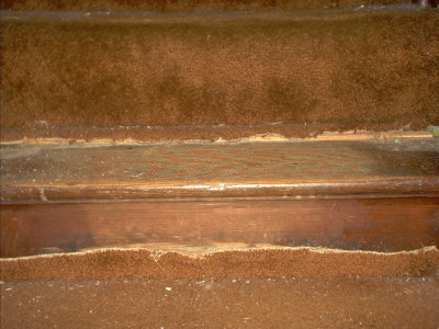 Wood stairs under the brown shag carpet