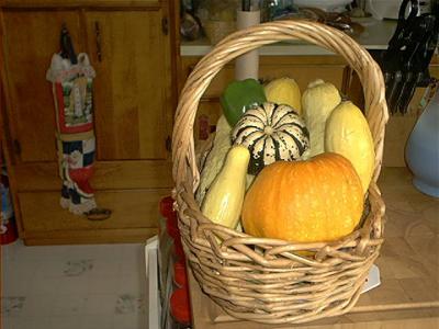 Pumpkin, squash, beans